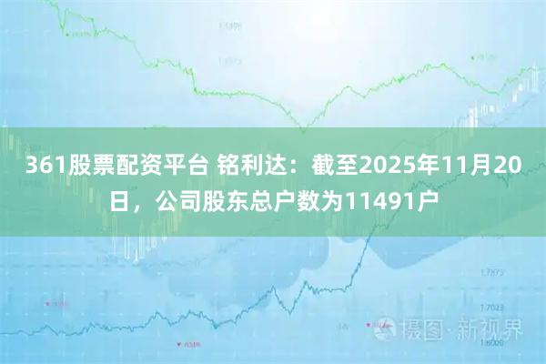 361股票配资平台 铭利达：截至2025年11月20日，公司股东总户数为11491户
