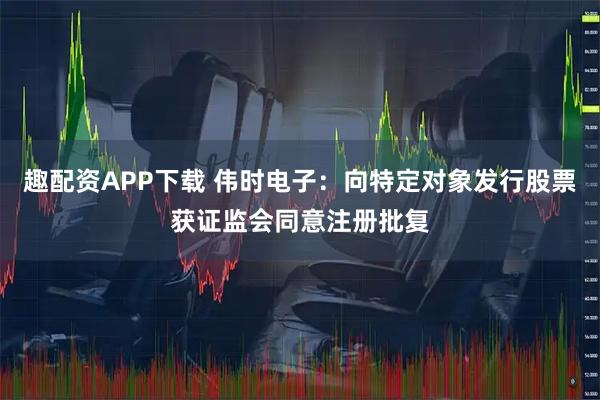趣配资APP下载 伟时电子：向特定对象发行股票获证监会同意注册批复